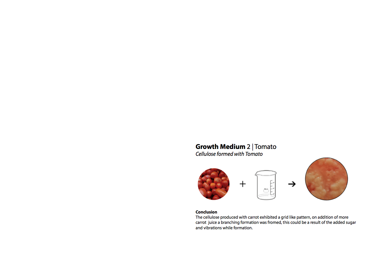 case study cellulose ap bio