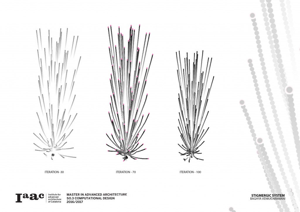 STIGMERGIC SYSTEMS - Reversed Growth – IAAC Blog