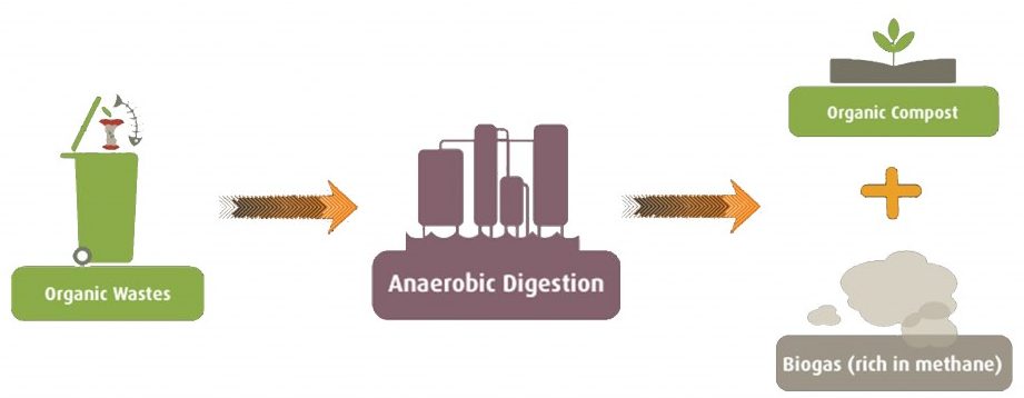 M.A.P.S - Methane Activated Public Spaces - Metabolic Garden – IAAC Blog