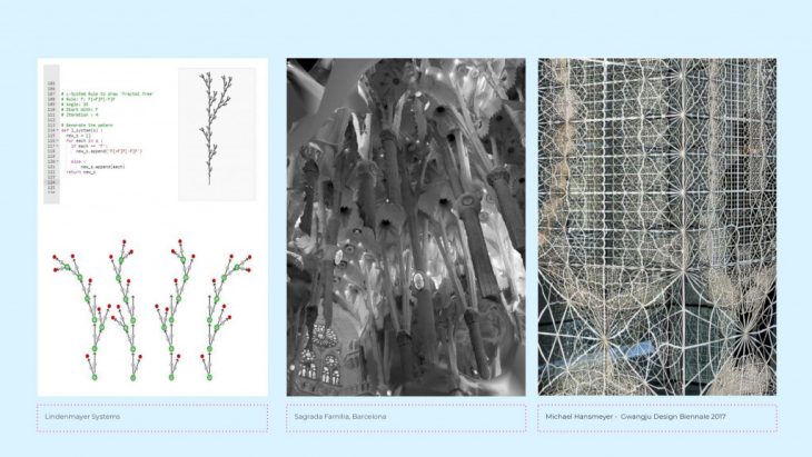 divaricate-exploring-algorithmic-branching-iaac-blog