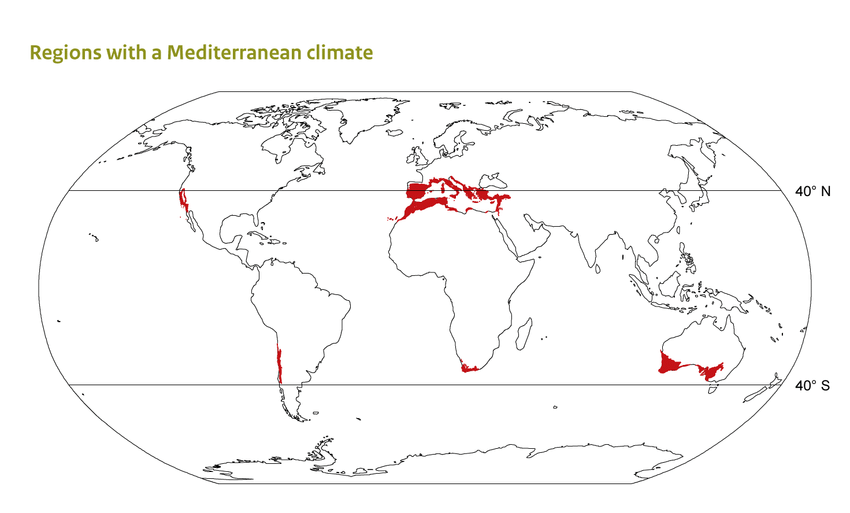 River Block Balmes D Alarcon IAAC Blog   Regions Of The World With Mediterranean Climate And Number Of Papers Measuring Field N 2 