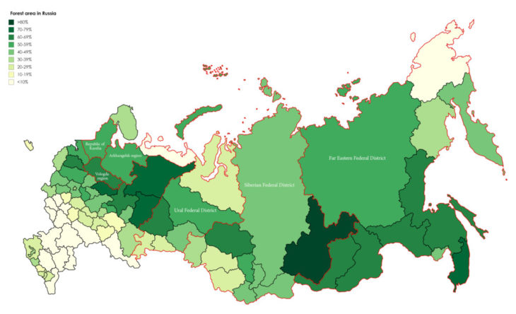Mass timber in Russia? – IAAC Blog