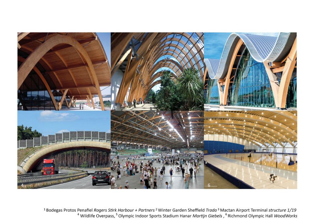 Case Study of Arches STRUCTURAL MASS TIMBER SYSTEMS FOR LARGE